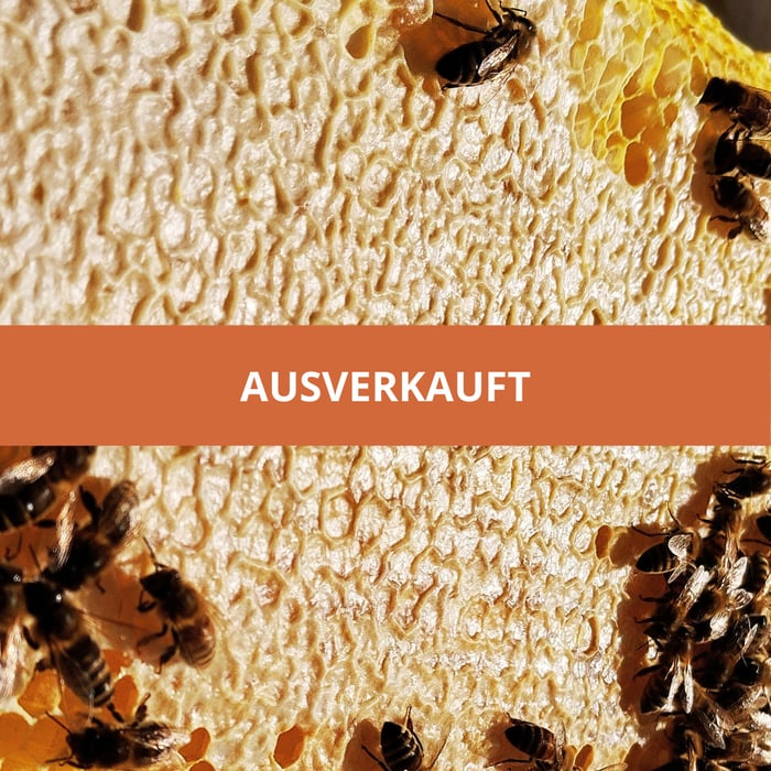 Wabenhonig image