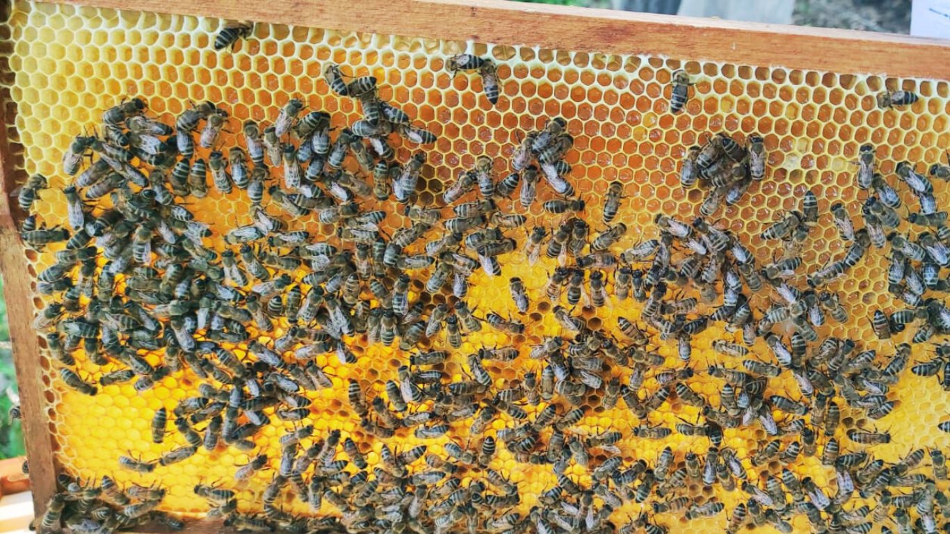 Design ohne Titel (12)